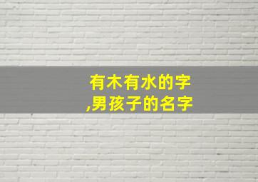 有木有水的字,男孩子的名字