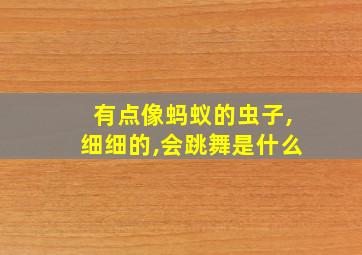 有点像蚂蚁的虫子,细细的,会跳舞是什么