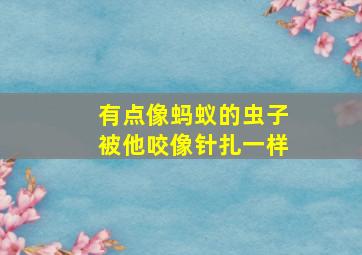 有点像蚂蚁的虫子被他咬像针扎一样