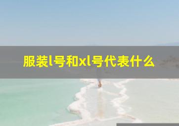 服装l号和xl号代表什么