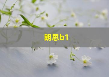 朗思b1