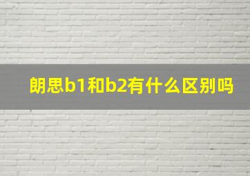 朗思b1和b2有什么区别吗