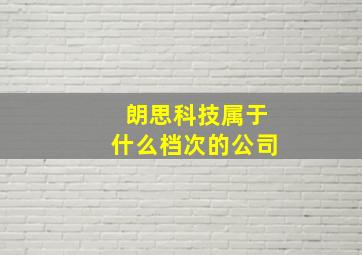 朗思科技属于什么档次的公司