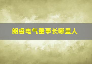 朗睿电气董事长哪里人