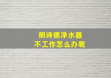 朗诗德净水器不工作怎么办呢