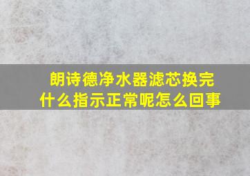 朗诗德净水器滤芯换完什么指示正常呢怎么回事