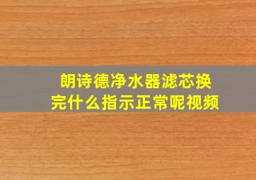 朗诗德净水器滤芯换完什么指示正常呢视频