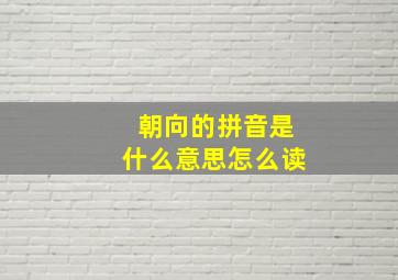 朝向的拼音是什么意思怎么读