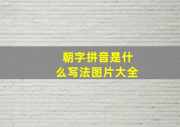 朝字拼音是什么写法图片大全