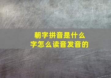 朝字拼音是什么字怎么读音发音的