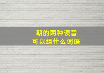 朝的两种读音可以组什么词语