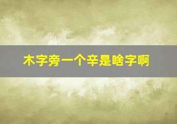 木字旁一个辛是啥字啊