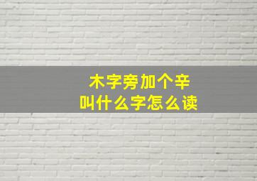 木字旁加个辛叫什么字怎么读