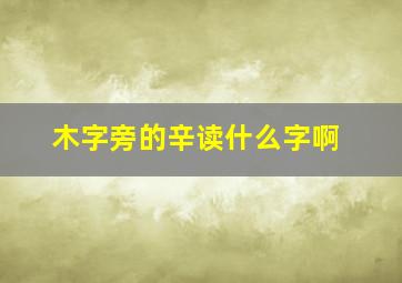 木字旁的辛读什么字啊