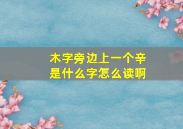 木字旁边上一个辛是什么字怎么读啊