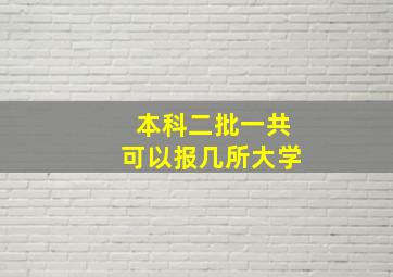 本科二批一共可以报几所大学