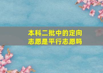 本科二批中的定向志愿是平行志愿吗