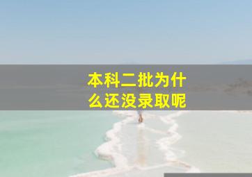 本科二批为什么还没录取呢