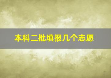 本科二批填报几个志愿