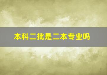 本科二批是二本专业吗