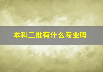 本科二批有什么专业吗