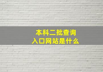 本科二批查询入口网站是什么