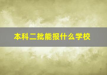 本科二批能报什么学校