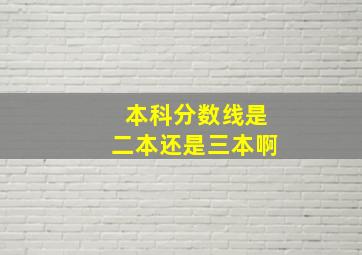 本科分数线是二本还是三本啊