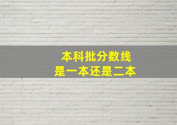 本科批分数线是一本还是二本