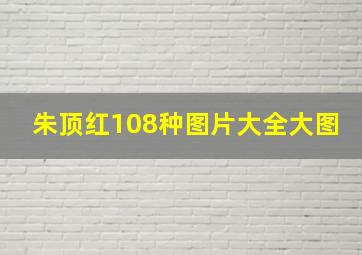 朱顶红108种图片大全大图