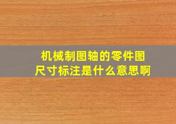 机械制图轴的零件图尺寸标注是什么意思啊