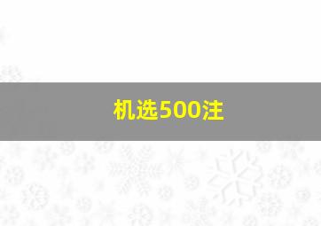 机选500注