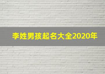 李姓男孩起名大全2020年