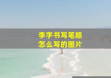 李字书写笔顺怎么写的图片