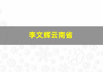 李文辉云南省