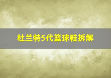 杜兰特5代篮球鞋拆解