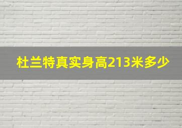 杜兰特真实身高213米多少