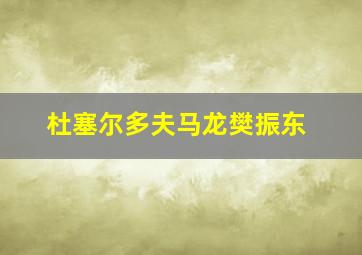 杜塞尔多夫马龙樊振东