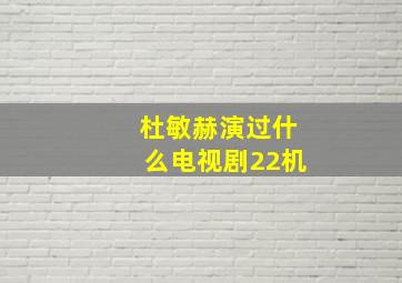 杜敏赫演过什么电视剧22机