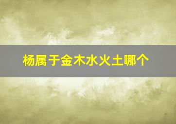 杨属于金木水火土哪个