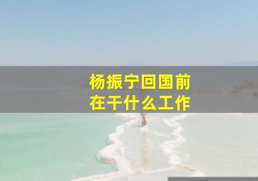 杨振宁回国前在干什么工作