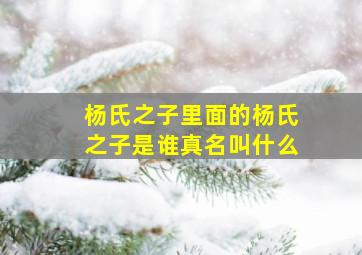 杨氏之子里面的杨氏之子是谁真名叫什么