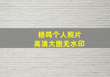 杨鸣个人照片高清大图无水印