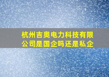 杭州吉奥电力科技有限公司是国企吗还是私企