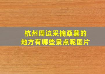 杭州周边采摘桑葚的地方有哪些景点呢图片