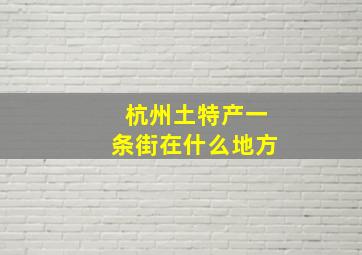 杭州土特产一条街在什么地方