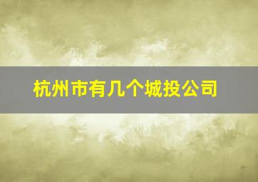 杭州市有几个城投公司