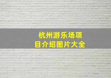 杭州游乐场项目介绍图片大全