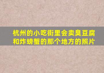 杭州的小吃街里会卖臭豆腐和炸螃蟹的那个地方的照片