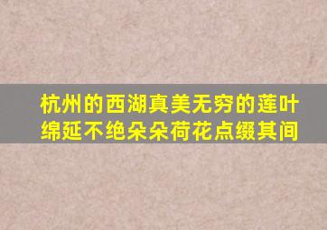 杭州的西湖真美无穷的莲叶绵延不绝朵朵荷花点缀其间